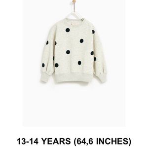 🍭3 for $30! Zara Kids Gray sweatshirt- size 13/14